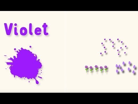 Apprendre les couleurs avec Pinpin et Lili - Le violet