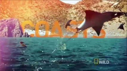 Montanhas - América indomável- Documentário - Dublado