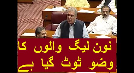 Shah Mehmood Qureshi's Blasting Speech About JIT in National Assembly on 14.06.2017