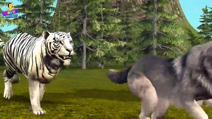 Finger Family 3D _ Tiger Finger Family _ Animal cartoons Finger Family Nursery Rhymes-xKUPMPY9C0o