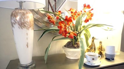 Get Your Personal Assistant w Google Home