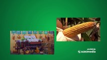Kako se Institut za kukuruz „Zemun Polje“ pripremio za predstojeću setvu
