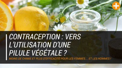 Contraception : vers l’utilisation d’une pilule végétale ?