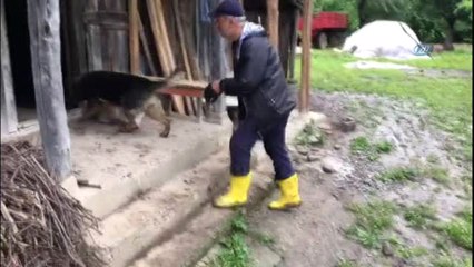 Samsun'da Uyuşturucu Operasyonu: 8 Gözaltı