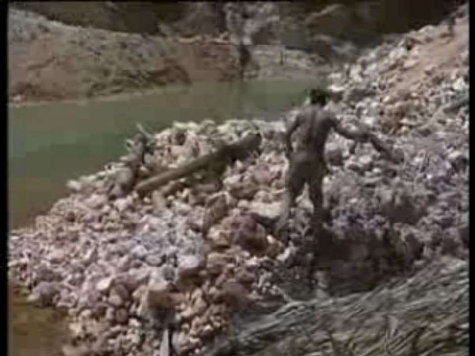 Les damnés de l'or