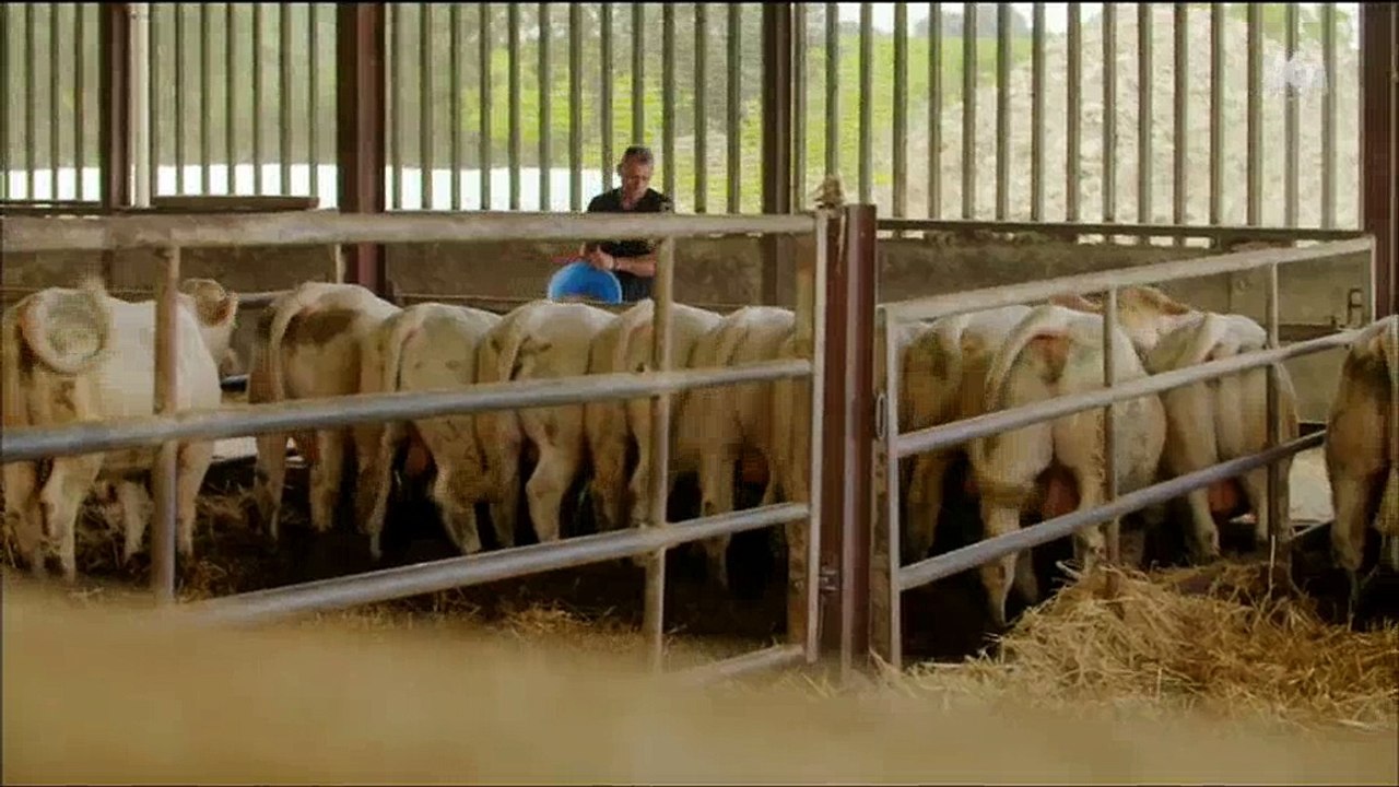"L'amour est dans le pré" 2017 : Un prétendant abandonne "pour des raisons personnelles"