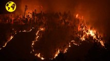Incendie au Portugal : 