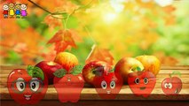 Baby Rhymes   Tomato- Brinjal-Watermelon-Gorilla Finger Family Cartoons   Family Rh