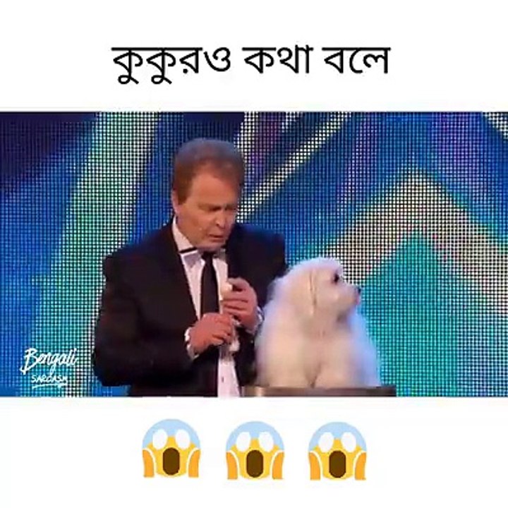 Amazing