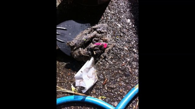 InVironmental Cleaning - (509) 999-9610