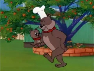 Tom_And_Jerry funny_cartoon HD video
