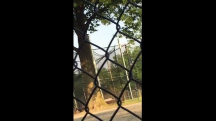 Steve Scalise Shooting in virginia baseball park CAUGHT ON VIDEO [HD]