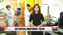 Korean researchers develop octopus-inspired adhesive patch