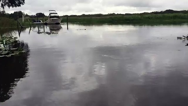 Il jette de l'eau dans une rivière et les crocodiles se réveillent