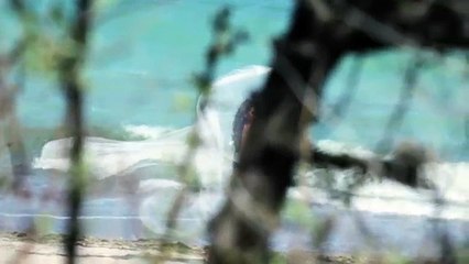 ANTONIA - Iubirea Mea _ Videoclip Oficial