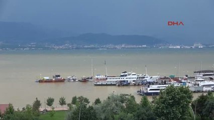 Izmit Körfezi Sarardı