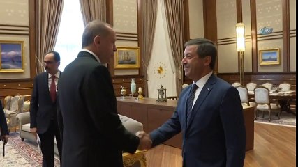 Cumhurbaşkanı Erdoğan, KKTC Dışişleri Bakanı'nı Kabul Etti