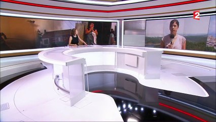 Portugal : 26 000 hectares de forêt brûlés