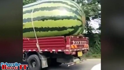 Ultimate FUNNY Videos  Crazy Clips ★ pt.2 ★ Best of the Year 2017 Compilation ★ Biutyfi