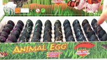 60 Süpriz Yumurtası- cool renkli ANIMAL EGGS- Içinde ne var acaba Benimle Oyna (1 Bölüm)