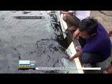 Legenda Ikan Dewa di Kolam Cibulan, Jawa Barat - IMS