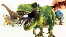 Aprender Acerca de dinosaurios juguete dinosaurio juego Cual Es el impar dinosaurio fuera