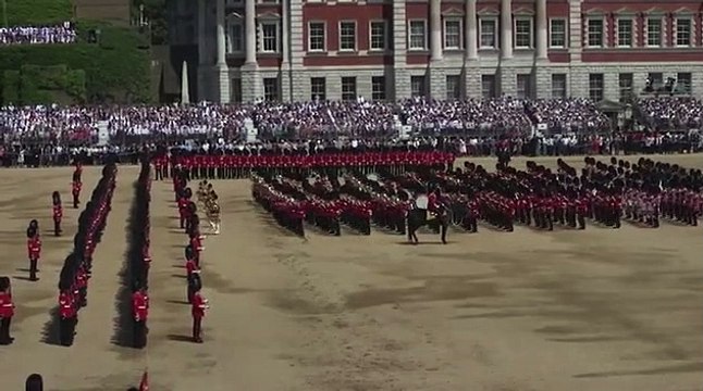 Même pour secourir leur collègue au sol les soldats de la garde royale restent dignes et pas trop stressés