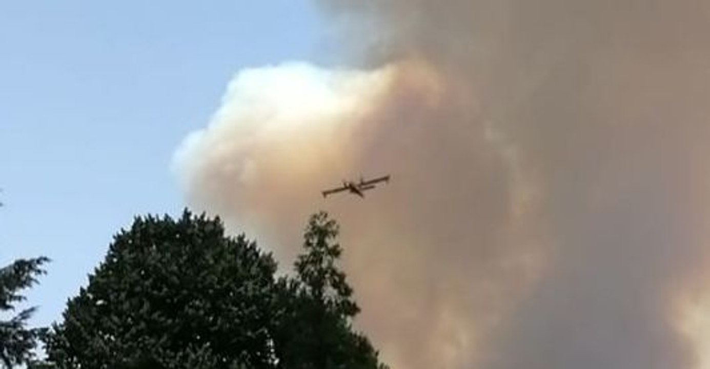 Aircraft Continue to Battle Blaze as More Than 60 Killed in Portugal Fires