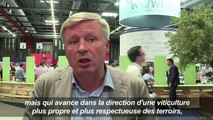 Vinexpo: le vin bio a la cote et de plus en plus de goût