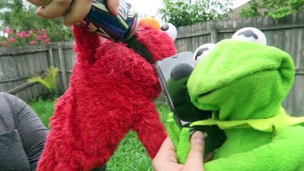 Kermit the Frog and Elmos Backyard Challenge!