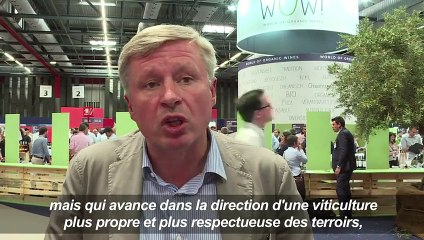 Vinexpo: le vin bio a la cote et de plus en plus de goût