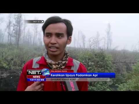 Live Report, Suasana Kota Palangka Raya Lebih Cerah - NET 12