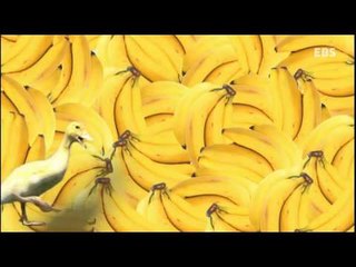 모야 모야 - Moya Moya_색_#002