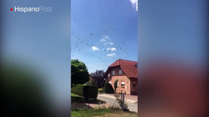 Vea el extraño fenómeno que ocurrió en un pueblo alemán