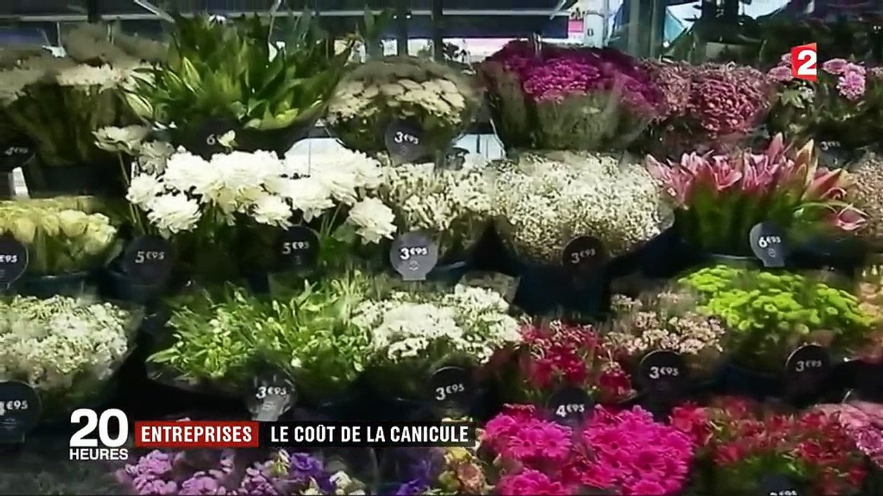 Annulations, retards, aménagement des horaires... La canicule coûte de l'argent aux entreprises