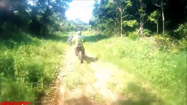 TOP 5 Criaturas Extrañas Captadas En Cámara Parte 5 (Videos Nunca Antes Vistos)