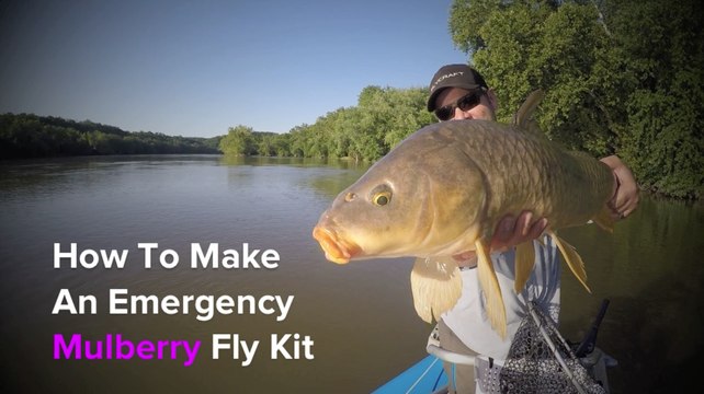 How to Make an Emergency Mulberry Fly Kit