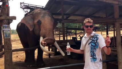 Elefante aprovechó la amabilidad de un turista para darse un baño