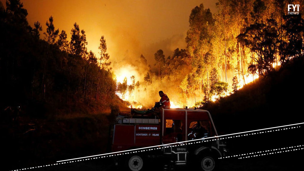 Fire In Portugal