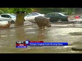 Petugas Lumpuhkan Kuda Nil Yang Melarikan Diri Pasca Banjir Bandang di Georgia - NET5