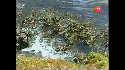 tierra enquevivimos   darwin cabo de horno p 3