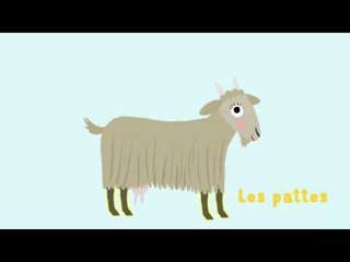 La chèvre - Découvre les animaux de la ferme avec Pinpin et Lili