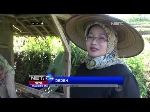 Gembrong Liwet, Tradisi Sambut Ramadhan di Sumedang - NET24