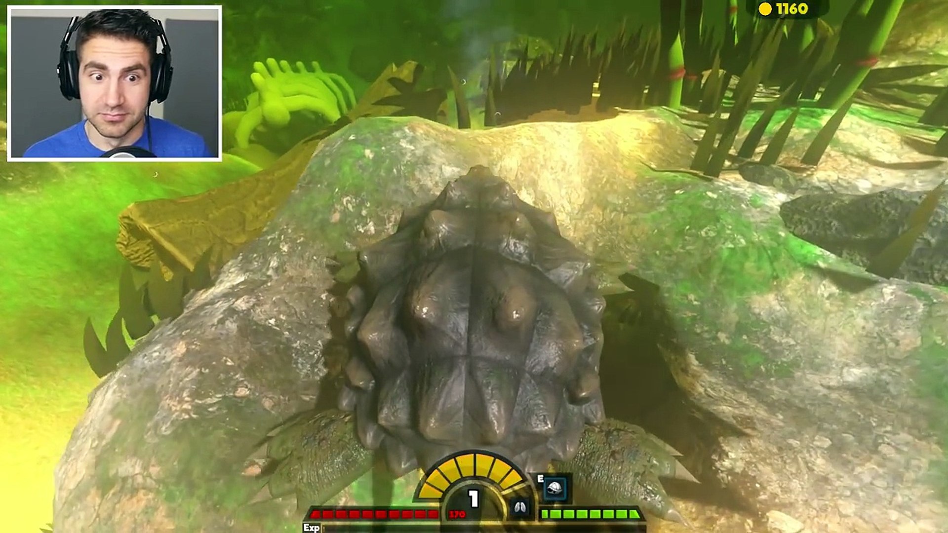 feed and grow fish video game