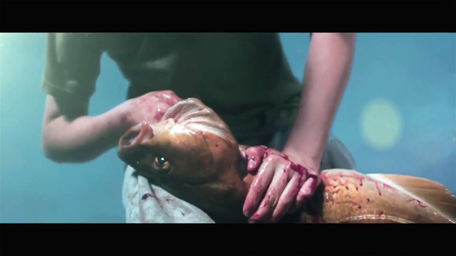 Gençlik Başımda Duman - Hjartasteinn (2016) Fragman