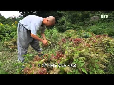 한국기행 - Korea travel_함양 1부-지리산 7암자의 여름_#001