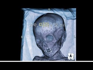 원더풀 사이언스(wonderful science) 과학, 미라에 말걸다.