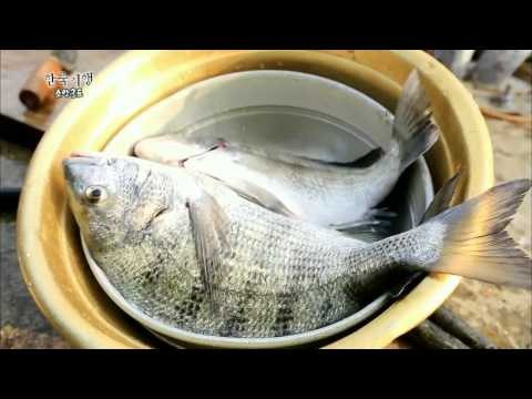 한국기행 - Korea travel_소안군도 3부 그 섬에 가고 싶다_#002