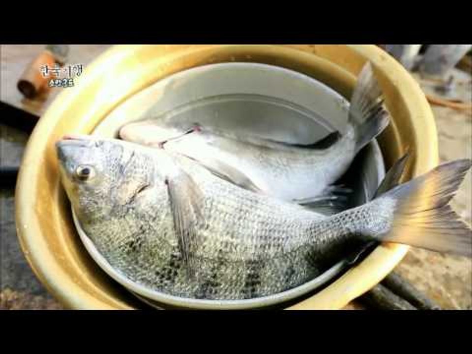 한국기행 - Korea travel_소안군도 3부 그 섬에 가고 싶다_#002