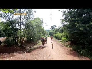 세계테마기행 - 천 개의 얼굴, 베트남 1부 구름 위를 걷다, 쯔엉선 산맥